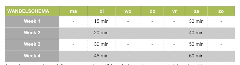 wandelschema beginnen met hardlopen