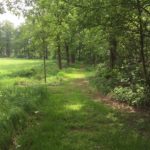 verslag Brooklandrun