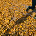 Blessurevrij hardlopen