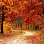herfstdip-tips-hardlopen