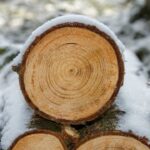 hardlopen in de winter tips