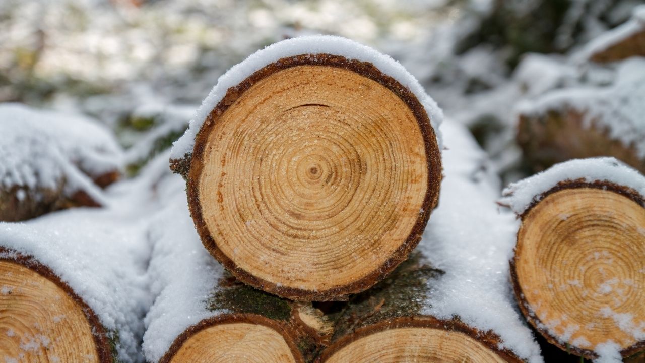 hardlopen in de winter tips